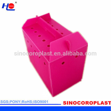 PP Carrier ondulato per animali domestici