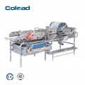 Frozen Vegetable Processing Machine Plant for Salad