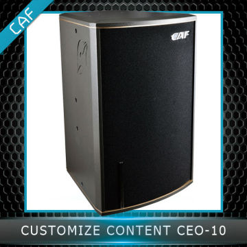 CEO-10 2-way Speakers Live Sound System