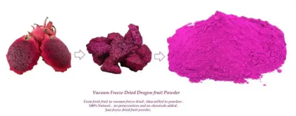Natural White Dragon Fruit Powder White Pitaya Fruit
