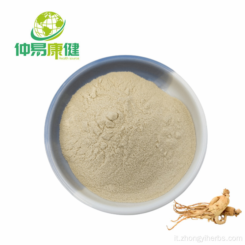 Estratto ginseng polvere 80% ginsenosides UV