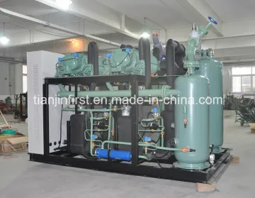 Bitzer Compressor Condensing Unit for Cold Room