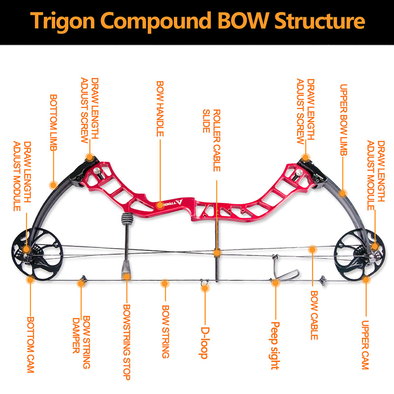 1Set 19-70lbs Archery RIGON Compound Bow Sets Right Hand USA Gordon Composites Limb Hunting Bow For Archery Shooting Accessories