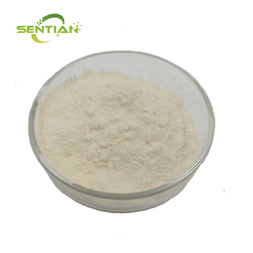 Premium Naringenin Extract from Natural Plant Sources