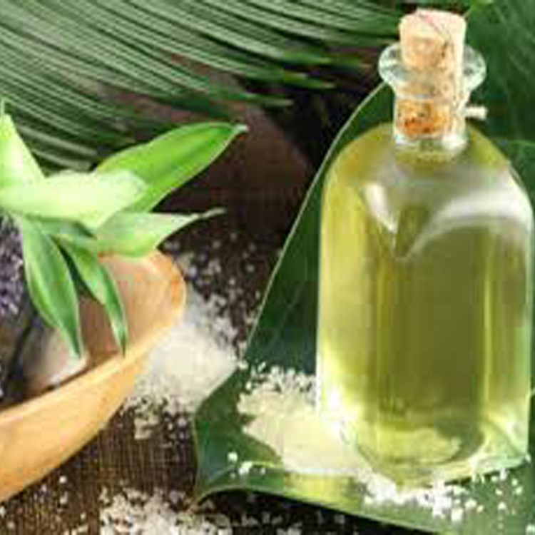 Top Grade100% pure Eucalyptus Essential Oil