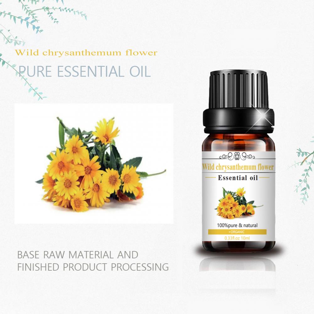 Best Quality Pure Natural Wild Chrysanthemum Flower Oil