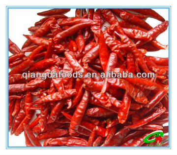 Hot Tianying Pepper