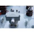 Low loss S11 Oil Type Distribution Transformer