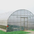 Greenhouse de tunnel à une seule portée