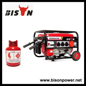 BISON(CHINA) Gas Generator Supplier Factory Biogas Electric Generator