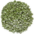 Grade a Arabica Green Coffee Beans