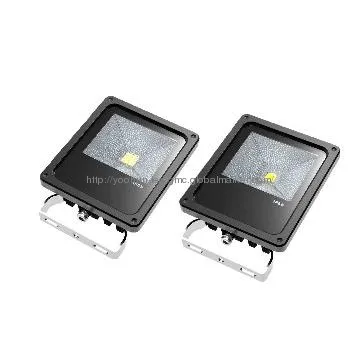 led multi color led flood light COB IP65&Meanwell Power
