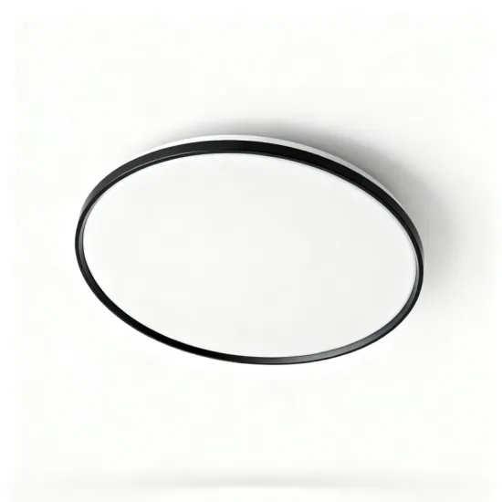 Modern Indoor Ceiling Light