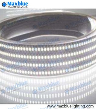 240LEDs/M SMD3014 LED Strip 1200LEDs 12/24VDC LED Light Strip