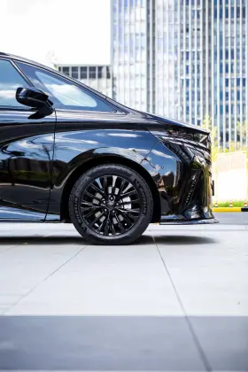 pertaining to Elfa carbon fiber with full blackened