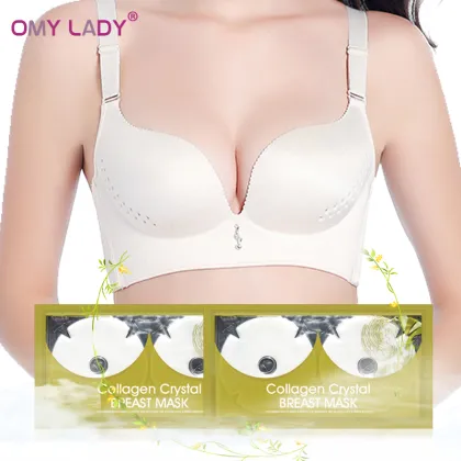 Breast Mask Search Engine