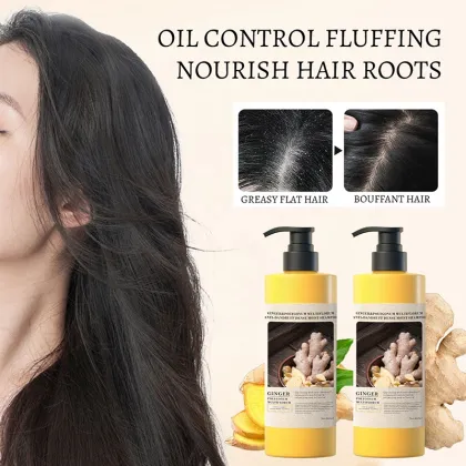 Factory Wholesale Natural Organic Ginger Polygonum Multiflorum Hair Shampoo - 650ml