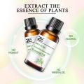 Artemisia Annua Extract, High Quality Artemisia Annua Extract