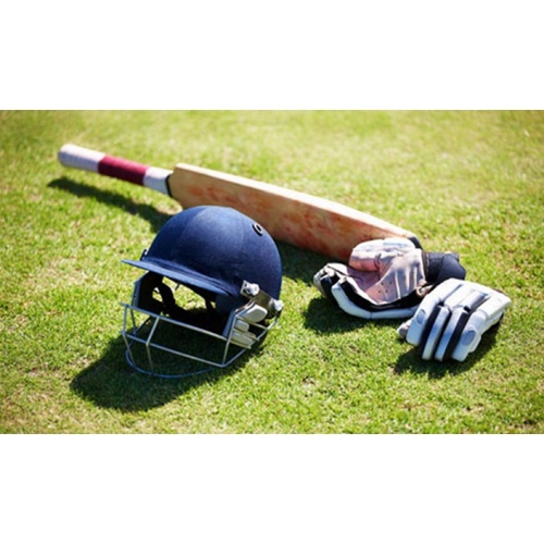 Long Service Life Durable Green Artificial Cricket Turf