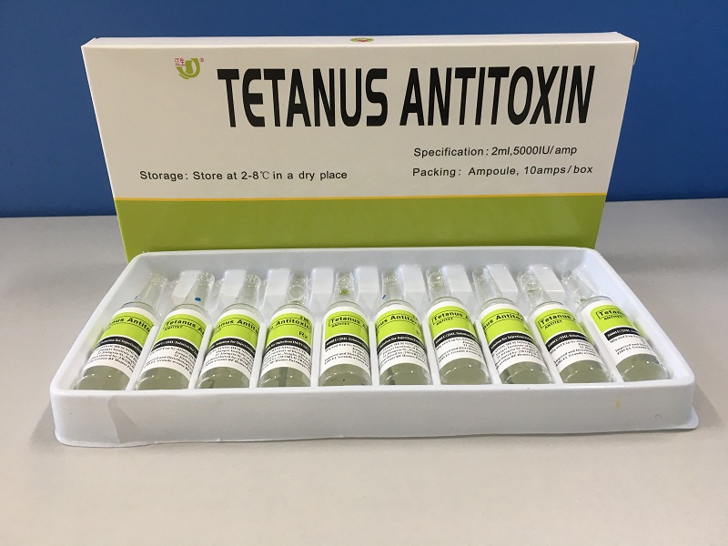 Tetanus Antitoxin 5000IU (ló) terápia