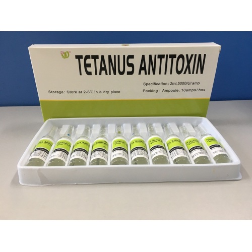 Terapia con antitoxina tetánica 5000IU (equina)