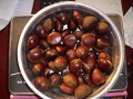 Frischer Berg Tai Chestnut