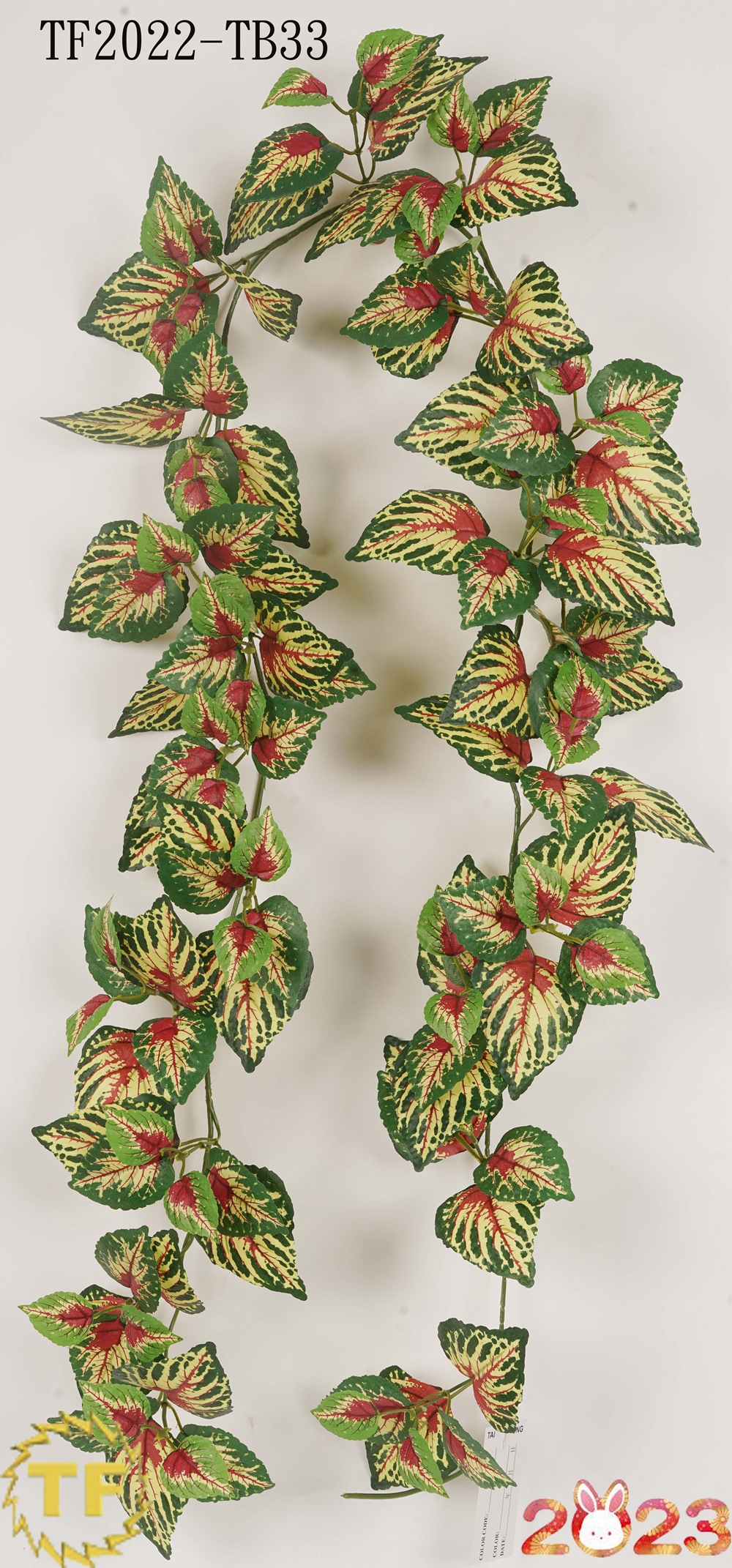 72 "Agloaonema Ivy Garland