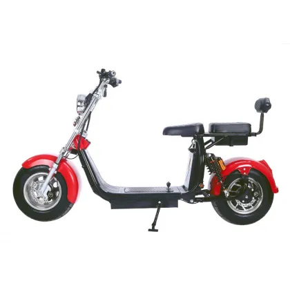 Made in China Speed Waterproof Electric Scooter - Electric Two-Wheeled Vehicle
