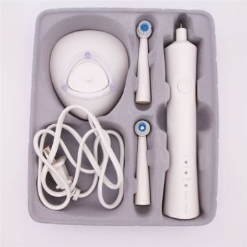 Adult Waterproof Rechargeable Sonic Electric Toothbrush