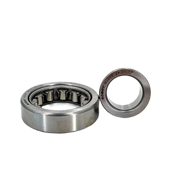 RN206, RN307, RN2010 Cylindrical Roller Bearings Without Outer Ring: Comprehensive Search Engine