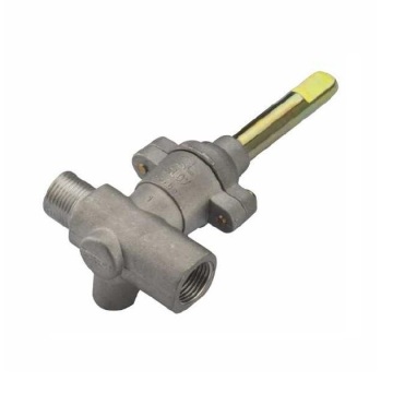 Dual outlet gas valve for oven