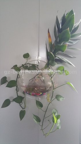 Wall Hanging Clear Fish Bowl Fish tank Aquarium