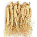 50% Ginseng plant extract