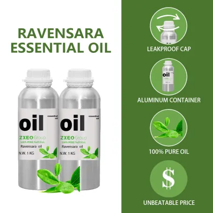 Ravensara Essential Oil for Natural Wellness