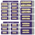 Dos capas Dentaciones de dientes de polímero sintético