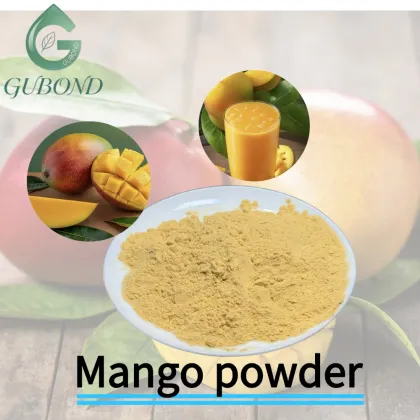 Mango Spray Dried Fruit Powder