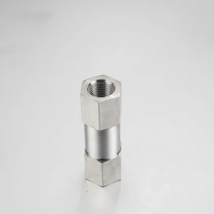JAZZY Stainless Steel F316L Swagelok Thread NPT Female End Check Valve for Water