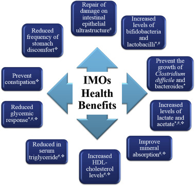 Isomalto-Oligosaccharide Powder for animal IMO Imo Tapioca Syrup