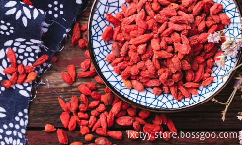 dried goji berries fruit