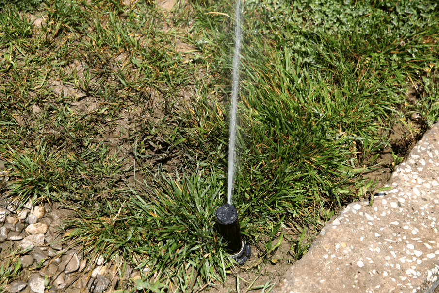 Lawn Irrigation