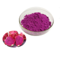 Freeze Dried Dragon Fruit Powder Price