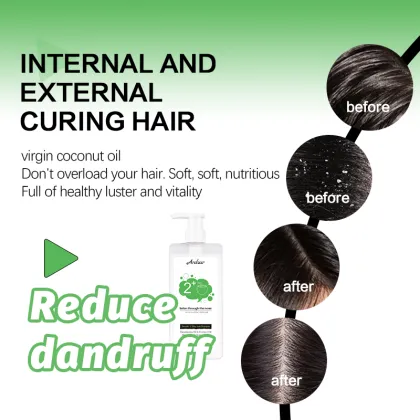 Organic Hair Shampoo for Natural Oil Moisturizing and Long-Lasting Perfume