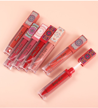 Private Label Waterproof Long-Lasting Matte Liquid Lipstick Kit: Non-Stick Cup Velvet Lip Gloss