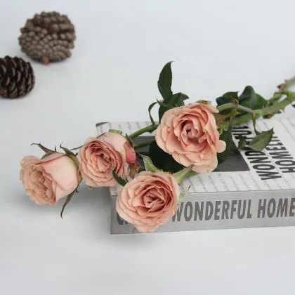 China Hot Selling Fresh Cut Flowers Spray Head Roses Cappuccino A Grade for Home Valentine's Day Flower Arrangements