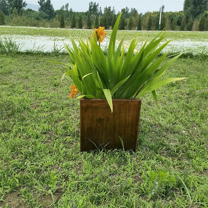 red flower pots