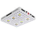 Cree CXB3590 LED COB Groeilicht 600W