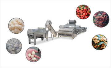 Lychee Longan Rambutan Peeled And Pit Removed Processing Line - For Making Canned Or Dry Pulp
