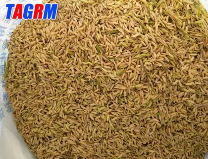 Automatic rice harvester cheap rice harvester