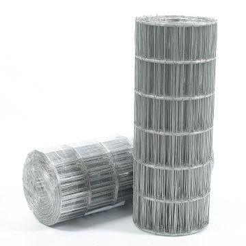 Xinghe Lron Wire Mesh Factory - Prices for Galvanized Welded Iron Mesh Rolls