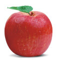Ningxia xiangyuan jenama kaya selenium biasa epal